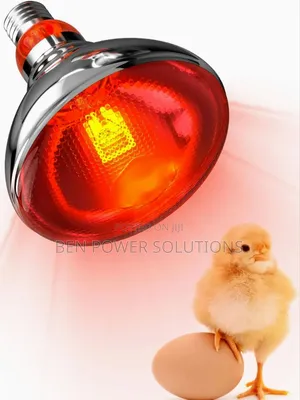 250w Infrared Brooder Bulbs