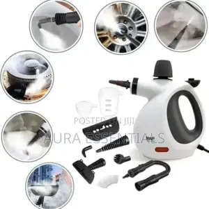 Raf R-11219 High-Pressure Handheld Steam Cleaner