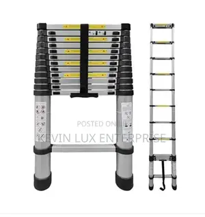 Telescopic Ladder 3.8 Meters 13 Steps