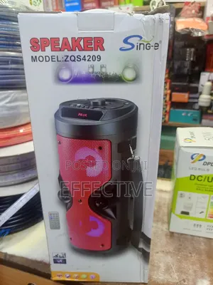 Sing-E ZQS-4209 Portable Bluetooth Speaker.