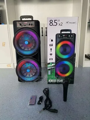 TTD-2807 Wireless Karaoke Speaker.
