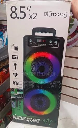 TTD-2807 Wireless Karaoke Speaker.