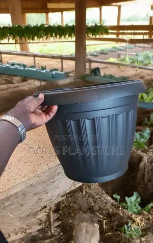 Greenery Plastic Flower Pots Plastic Flower Pots