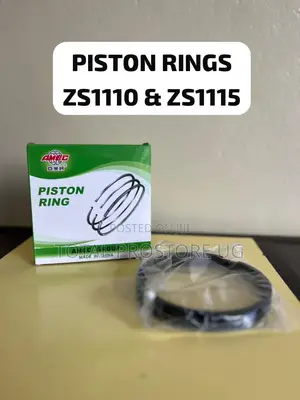 Piston Rings 20hp, 24hp