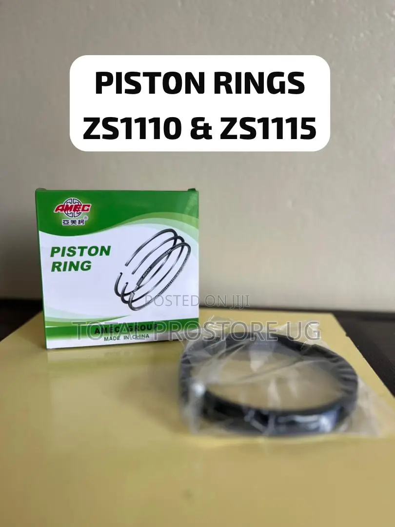 Piston Rings 20hp, 24hp