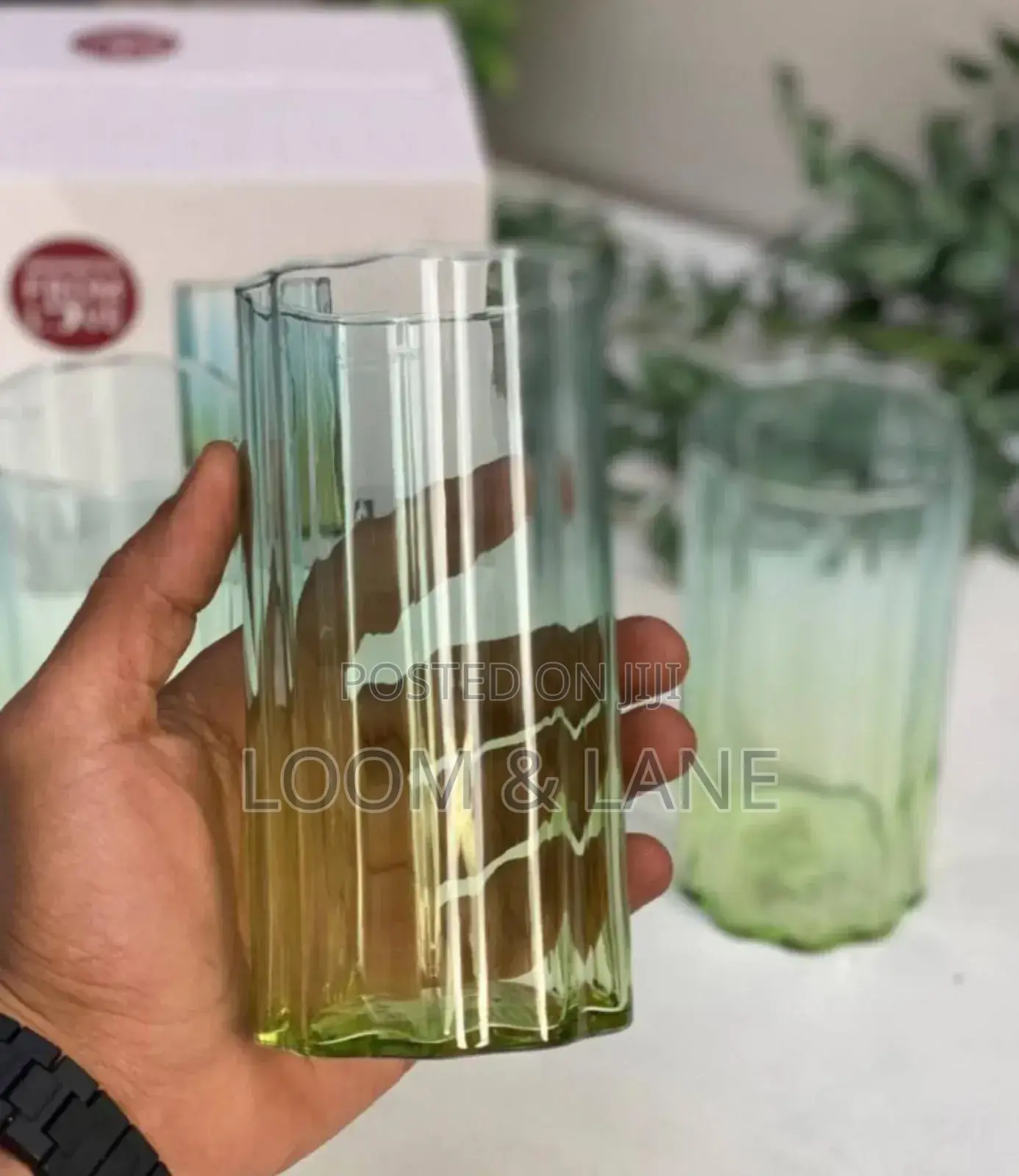 6pcs Deli Glass Blooming Series Water Glasses