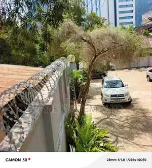 Razorwire Fencing Stainless