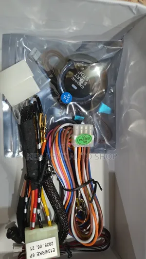 Remote Keyless Entry, Push to Start and Engine Start and Stop System