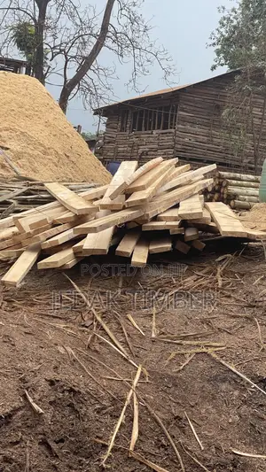 Cheap Timber for Construction