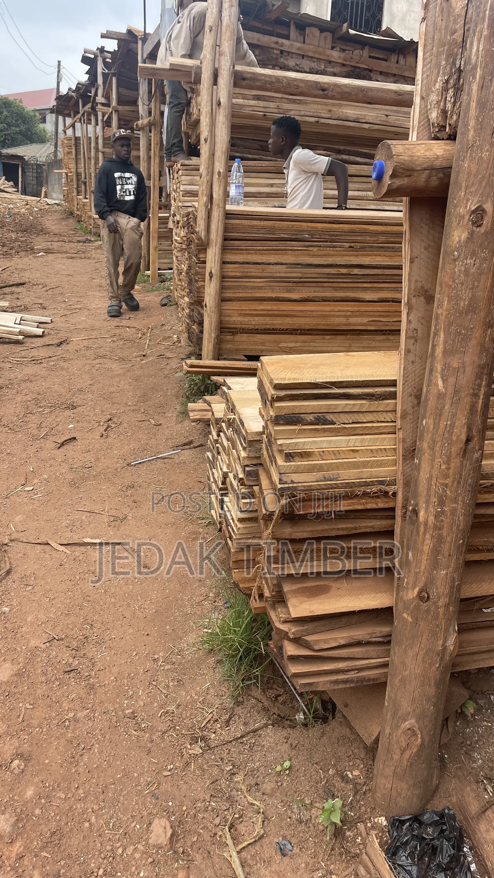Timber for House Roofing