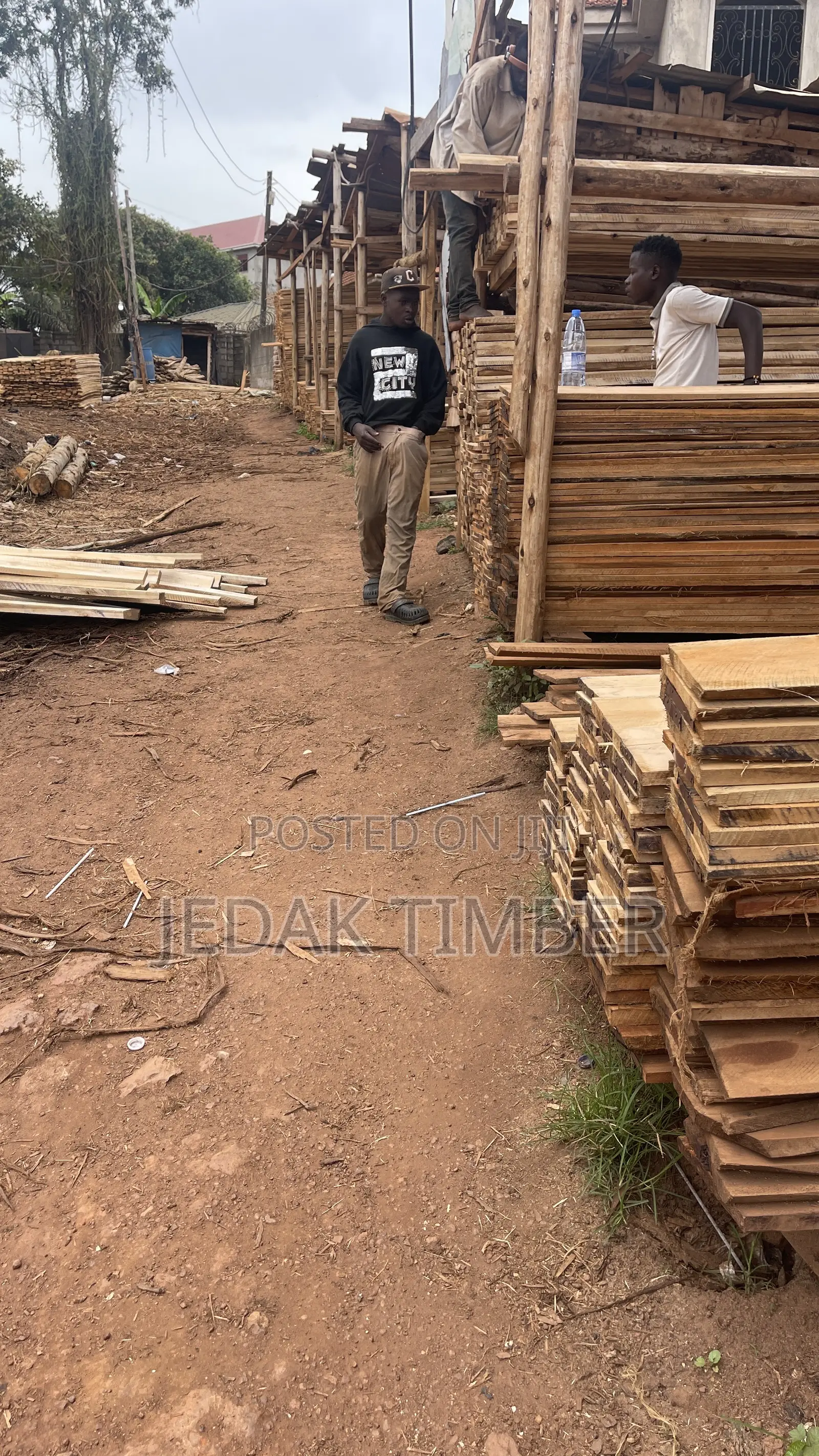 Timber for House Roofing
