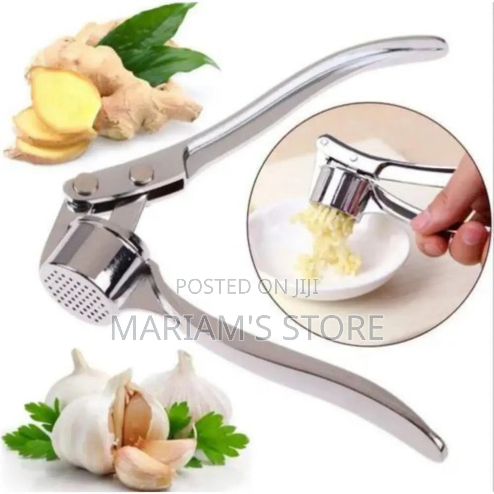 Garlic Press Stainless Steel