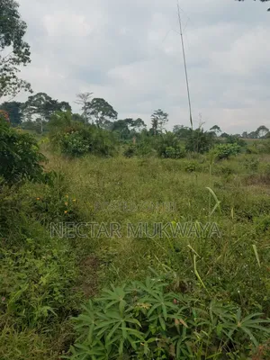 Mukono Katosi 1accre