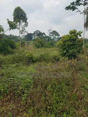 Mukono Katosi 1accre