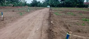 100x50 Ft Plot of Land for Quick Sale