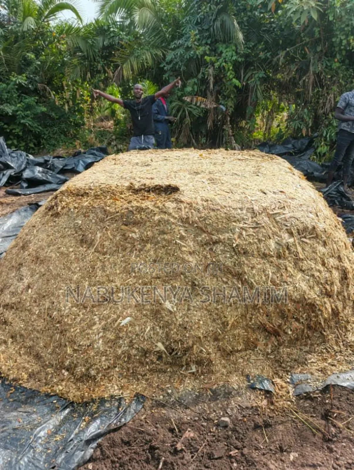 Ready Silage