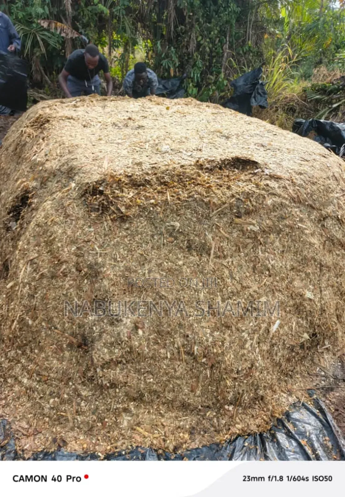 Ready Silage