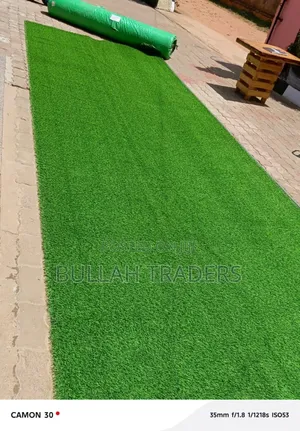Grass Carpets High Quality/ Artificial Grass