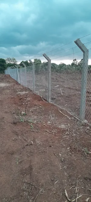 Chain Link Fencing