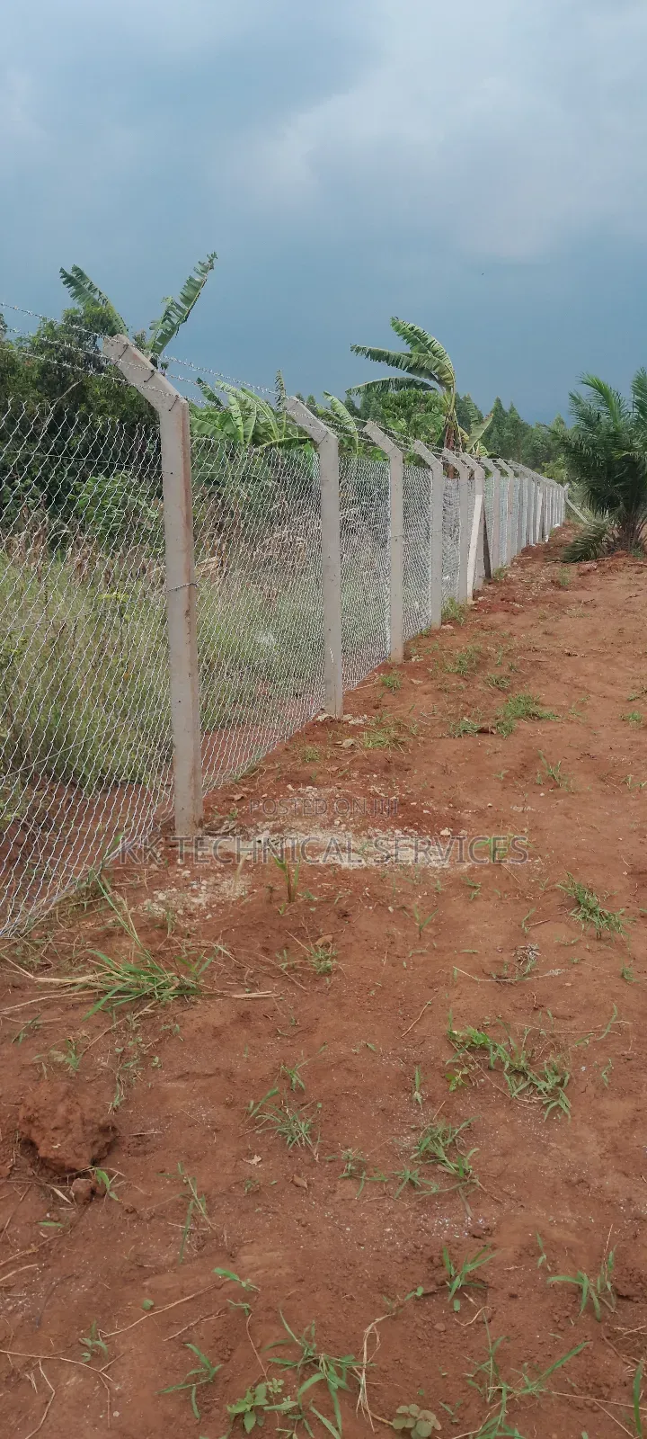 Chain Link Fencing