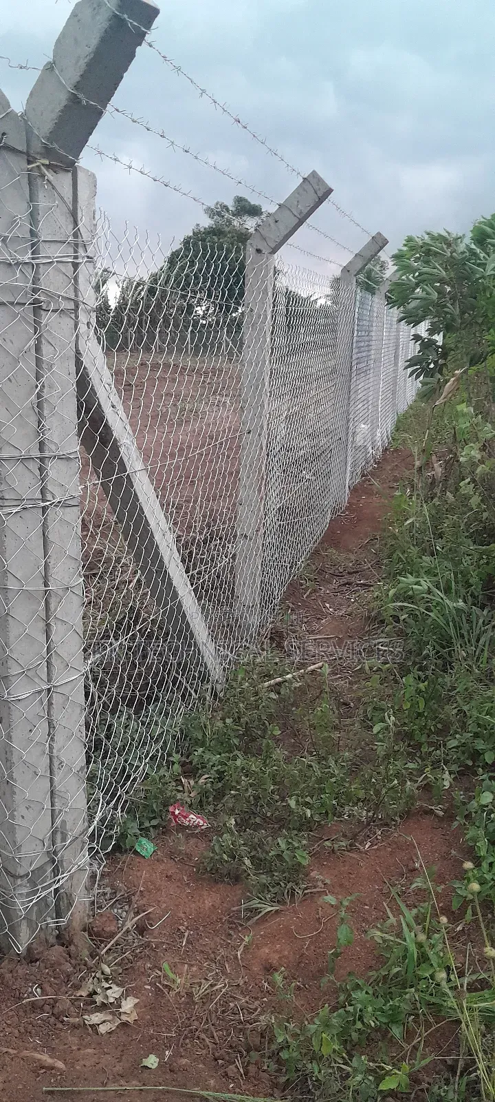 Chain Link Fencing