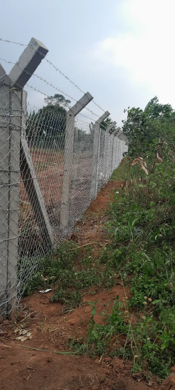 Chain Link Fencing