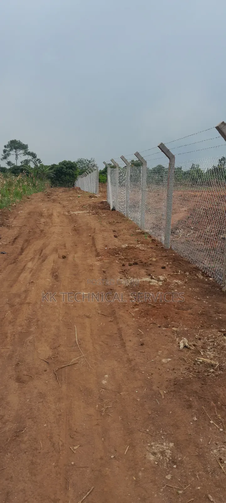 Chain Link Fencing