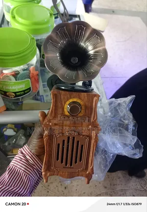 Music Apollo S31. Radio and Speaker