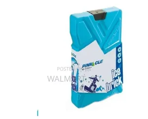 Pinnacle 2 Pack Cooler Ice Packs Brick Freezer Block 330ml