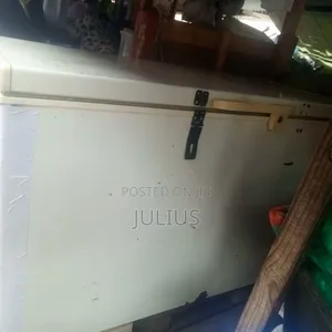 Storage Deep Freezer