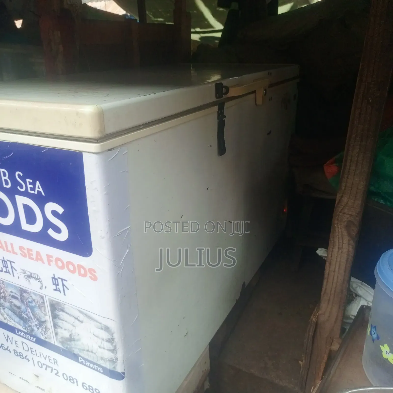 Storage Deep Freezer