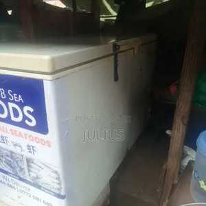 Storage Deep Freezer