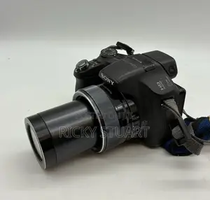 Sony Cyber-Shot DSC-Hx100 30x Optical Zoom Lens and Full Hd 1080 Video