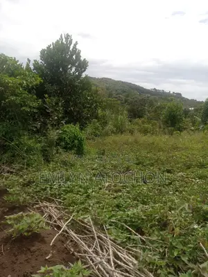 2 Titled Land 50 X 100 Residential Plots for Sale in Mpigi, Kavule