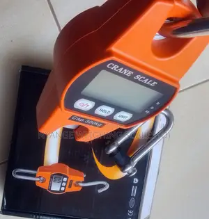 Digital Crane Weighing Scale 300kg Weigh Accurate Weighing Scale