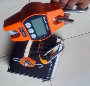 Hanging Weighing Scales 300kg Weigh Crane Digital Weighing Scale