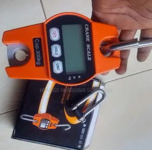 Heavy Duty Crane Weighing Scale 300kg Weigh Accurate Weighing Scale