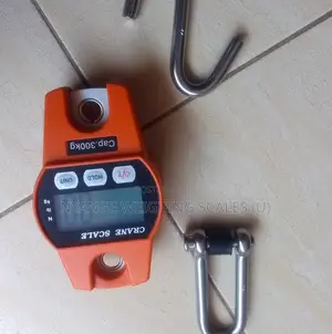 Electronic Heavy Duty Crane Weighing Scale 300kg Digital Weighing Scal