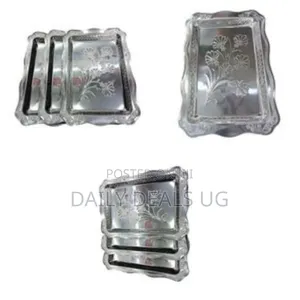 3 Stainless Steel Trays