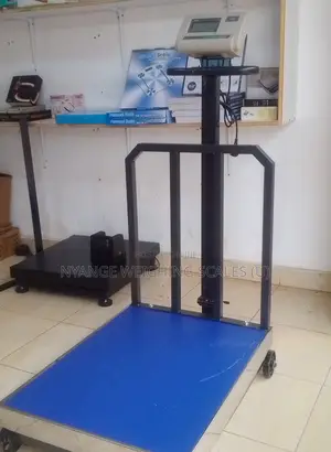 Price A12 Industrial Weigh Scale 700kg Weigh Accurate Weighing Scale