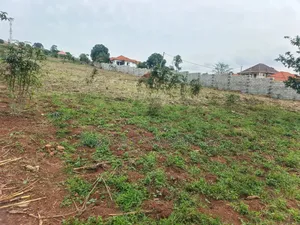 24 Decimals Plot of Land Seeta_gulama Off Jinja Rd