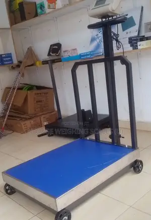 Hi-Tech Pc Board Platform Weighing Scale 700kg Digital Weighing Scale