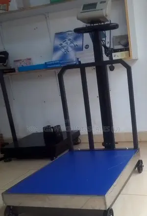 Steady Performance Weighing Scale 700kg Weigh Digital Weighing Scale