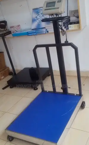 Simple Operation A.12 Platform Weigh Scale700kg Digital Weighing Scale