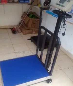 Cast Iron Housing Platform Weighing Scale 700kg Digital Weighing Scale