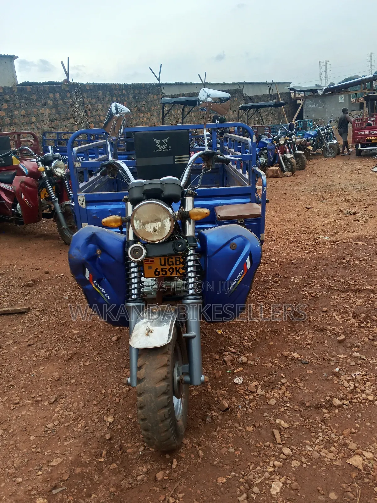 Tricycle 2024 Blue