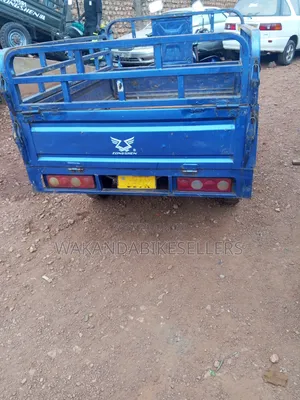 Tricycle 2024 Blue
