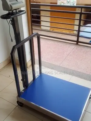 Digital Platform Electronic Weigh Scale 700kg Accurate Weighing Scale