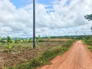 Half Acre Mukono_ntenjeru Bunakijja Village Marram Rd Katosi Rd