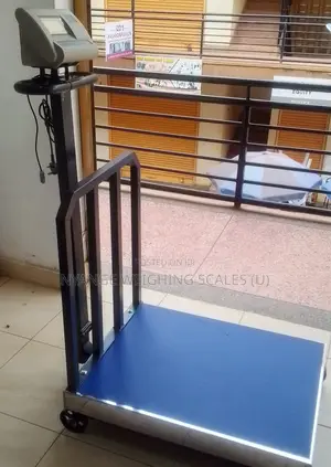 700kg Weigh Platform Weighing Scale Digital Accurate Weighing Scale